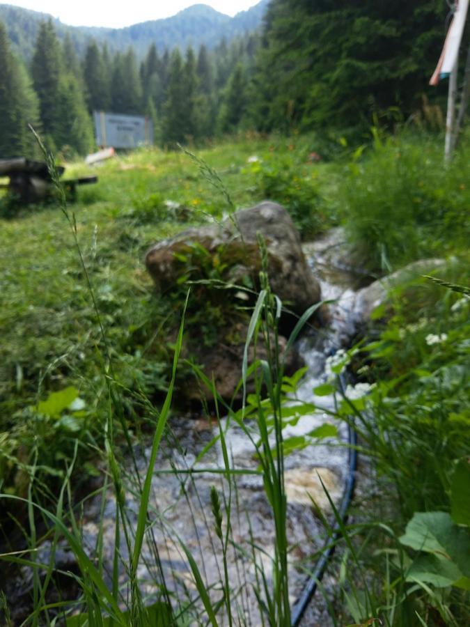 Хижа Ловна В Рила Panitsjisjte Eksteriør bilde